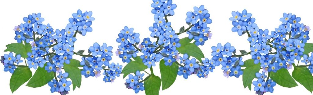 Niebieskie kwiatki